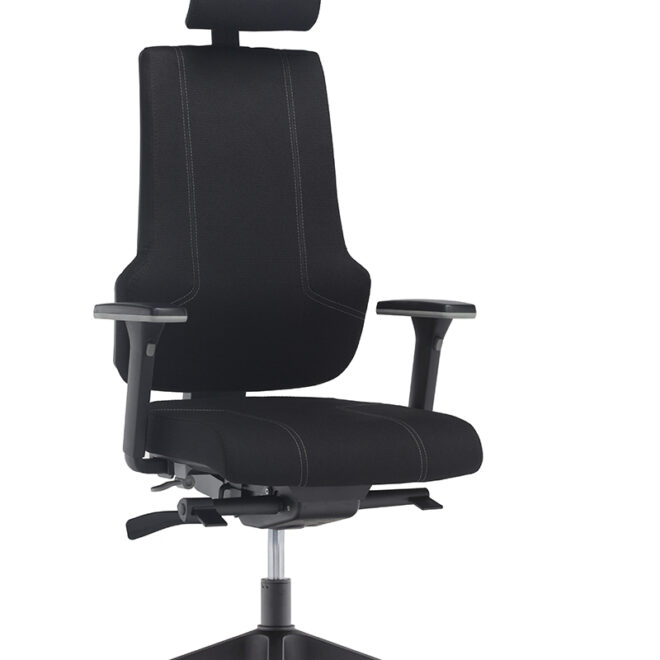 ERGOX